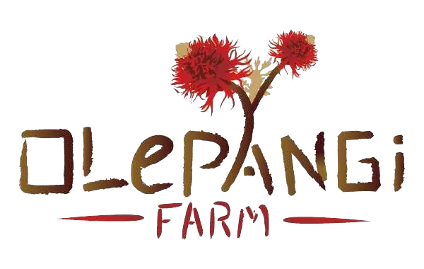 Olepangi Farm